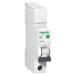 Schneider SE10B120 MCB SP B 20A 10kA